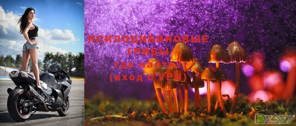 MESCALINE Нефтекумск