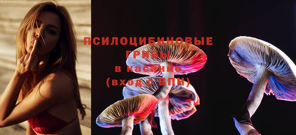 MESCALINE Нефтекумск