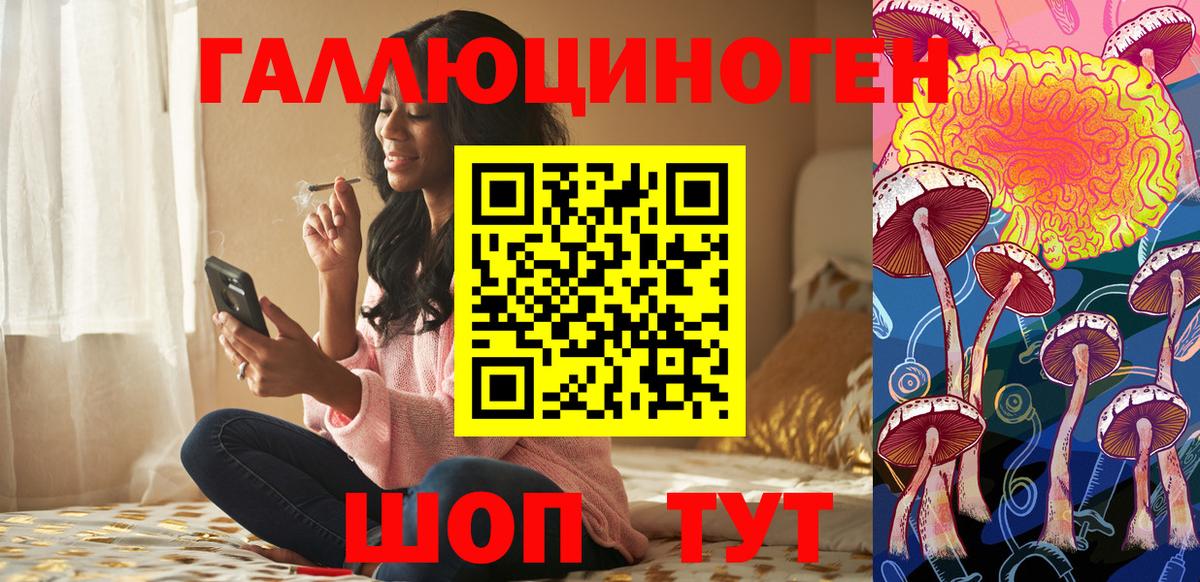 Псилоцибиновые грибы прущие грибы Карачаевск