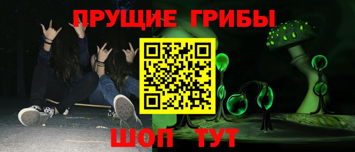 Галлюциногенные грибы Cubensis  Галлюциногенные грибы Psilocybe  Карачаевск 