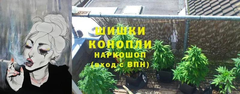 Бошки Шишки THC 21%  Карачаевск 